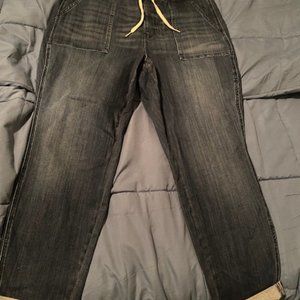 14W Judy Blue Jogger